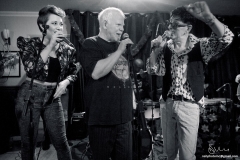 kokomo2_chichester_inn_2014_by_neil_holmes_nahphotoinc@gmail