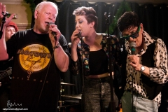 kokomo_chichester_inn_2014_by_neil_holmes_nahphotoinc@gmail